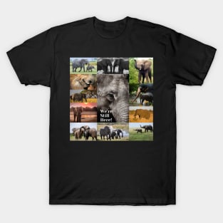 Elephant, We're Still Here, Mug, Mask, Pin T-Shirt